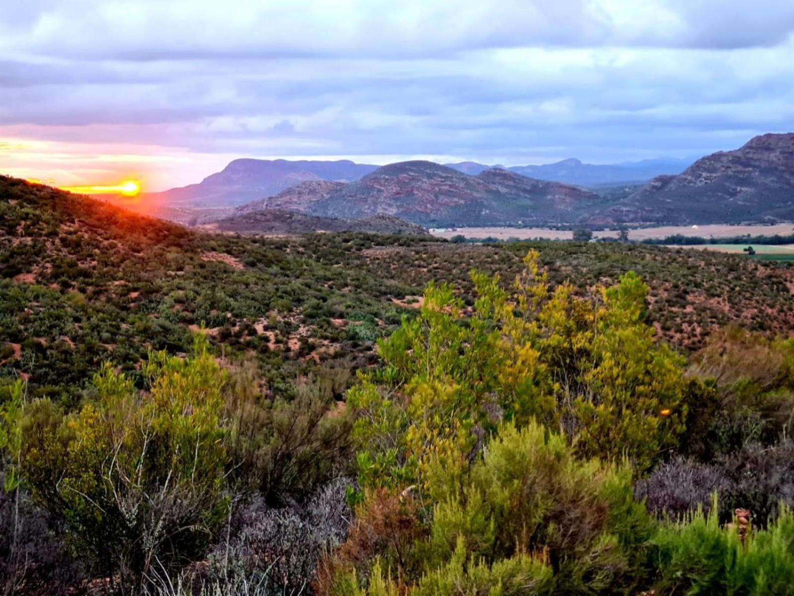 Aardts Cabins De Rust Εξωτερικό φωτογραφία